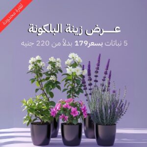 عرض زينة البلكونة
