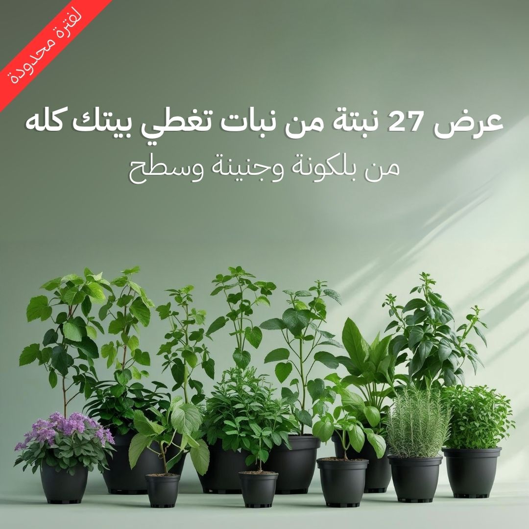 عرض 27 نبتة من نبات تغطي بيتك كله