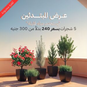 عرض المبتدئين في الزراعة