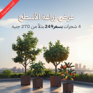 عرض زراعة الأسطح